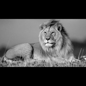 Meet your Posher, Devante